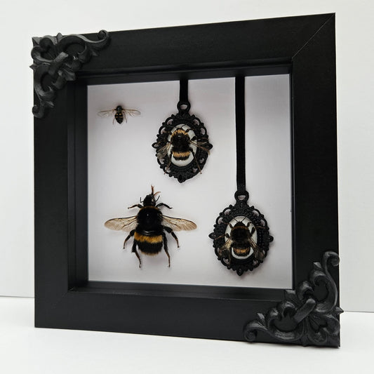 Bumblebees & hoverfly ♡